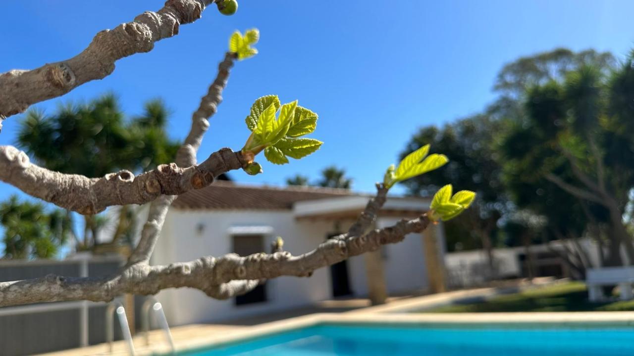 Vivienda Rural Atlantico Sur & Familias Guest House Conil De La Frontera Bagian luar foto