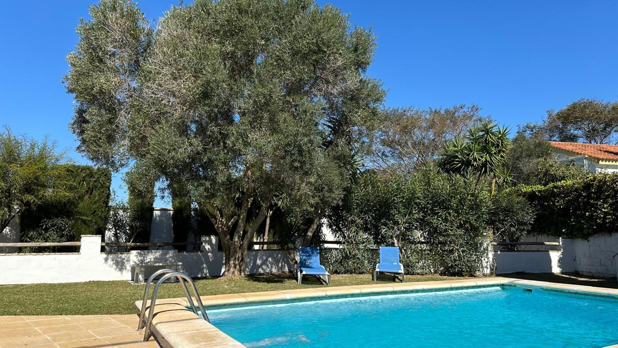 Vivienda Rural Atlantico Sur & Familias Guest House Conil De La Frontera Bagian luar foto
