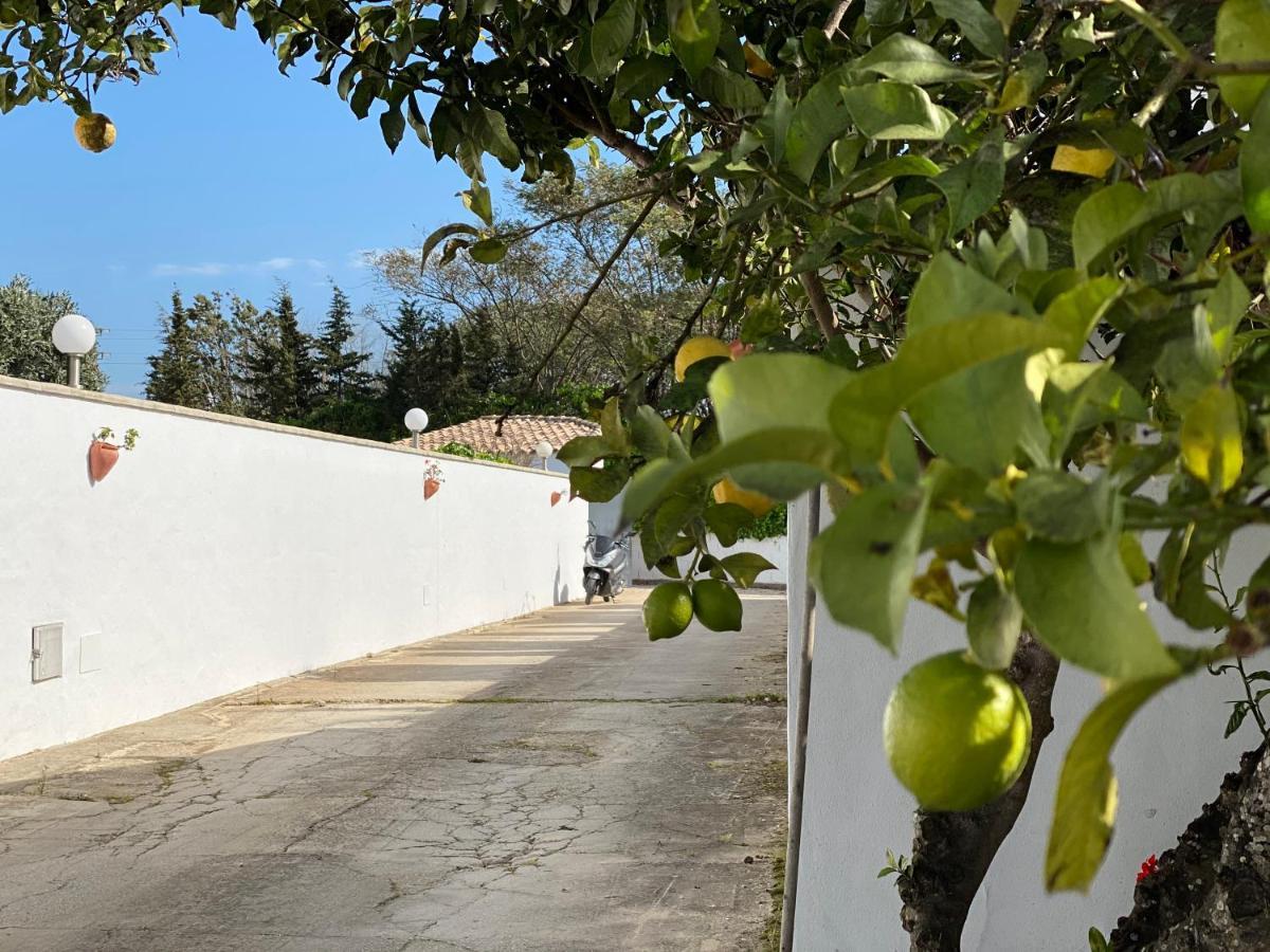 Vivienda Rural Atlantico Sur & Familias Guest House Conil De La Frontera Bagian luar foto